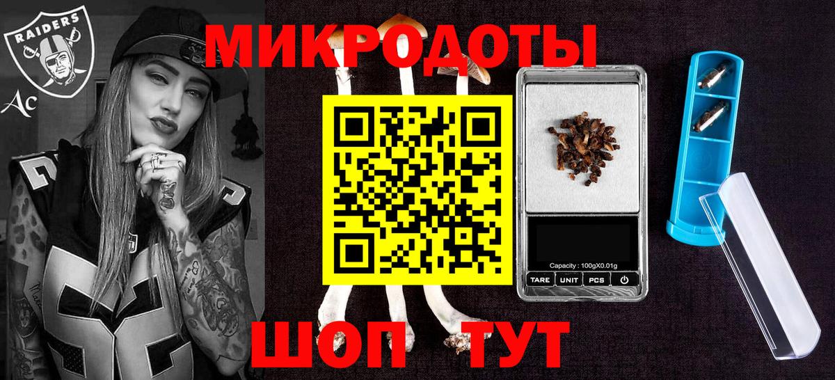 Псилоцибиновые грибы Psilocybine cubensis  Гусиноозёрск 