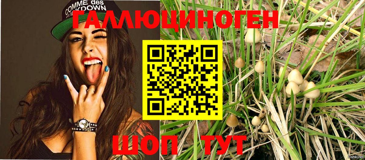 Alpha PVP Гусиноозёрск